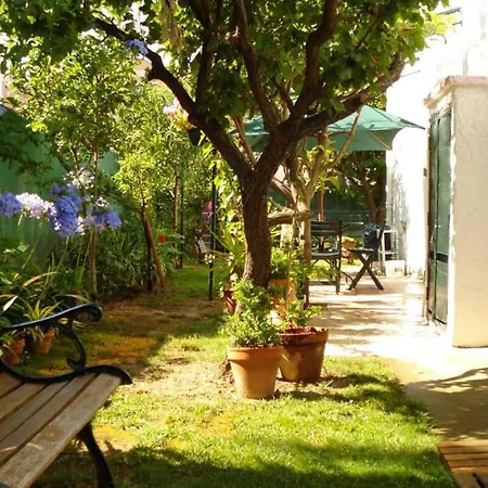 El Gorrion A 3.5km De La Mer Holiday home Hyeres